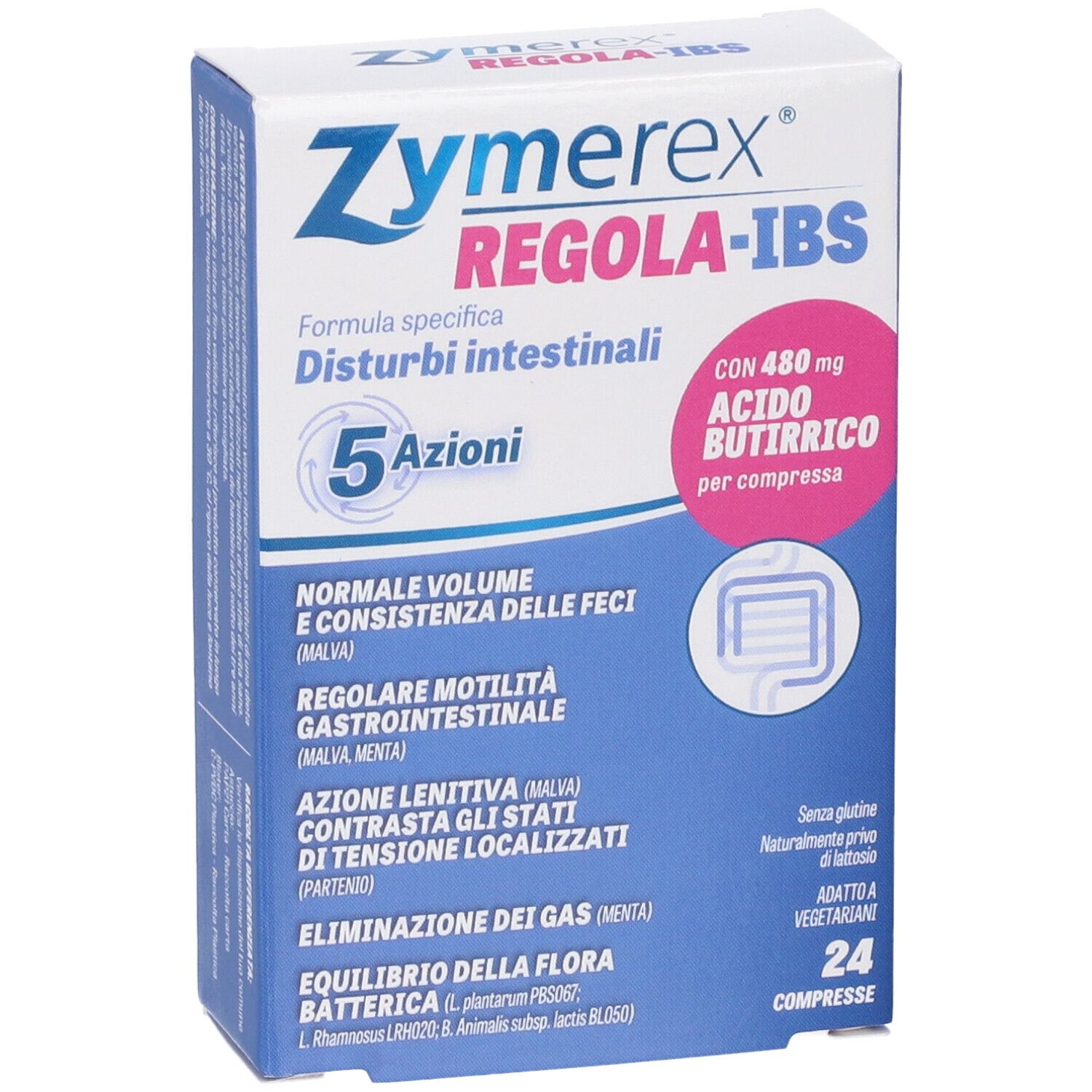 Zymerex REGOLA-IBS-Verpackung. Blaue und weiße Schachtel mit Produktnamen und Inhaltsangaben. 24 Tabletten.