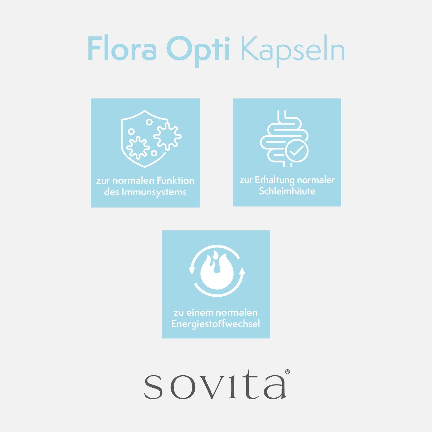 Grafik mit Icons und Text: Immunsystem, Schleimhaut, Energiestoffwechsel. Marke: sovita.