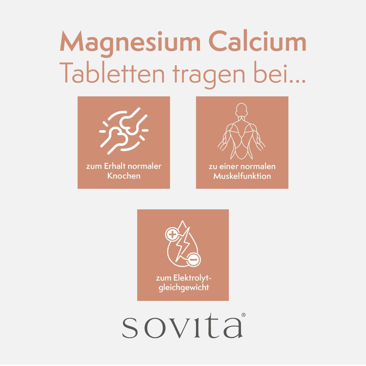 Graphique avec symboles d'os, de muscles et d'équilibre électrolytique. Texte: Magnesium Calcium Tabletten tragen bei...
