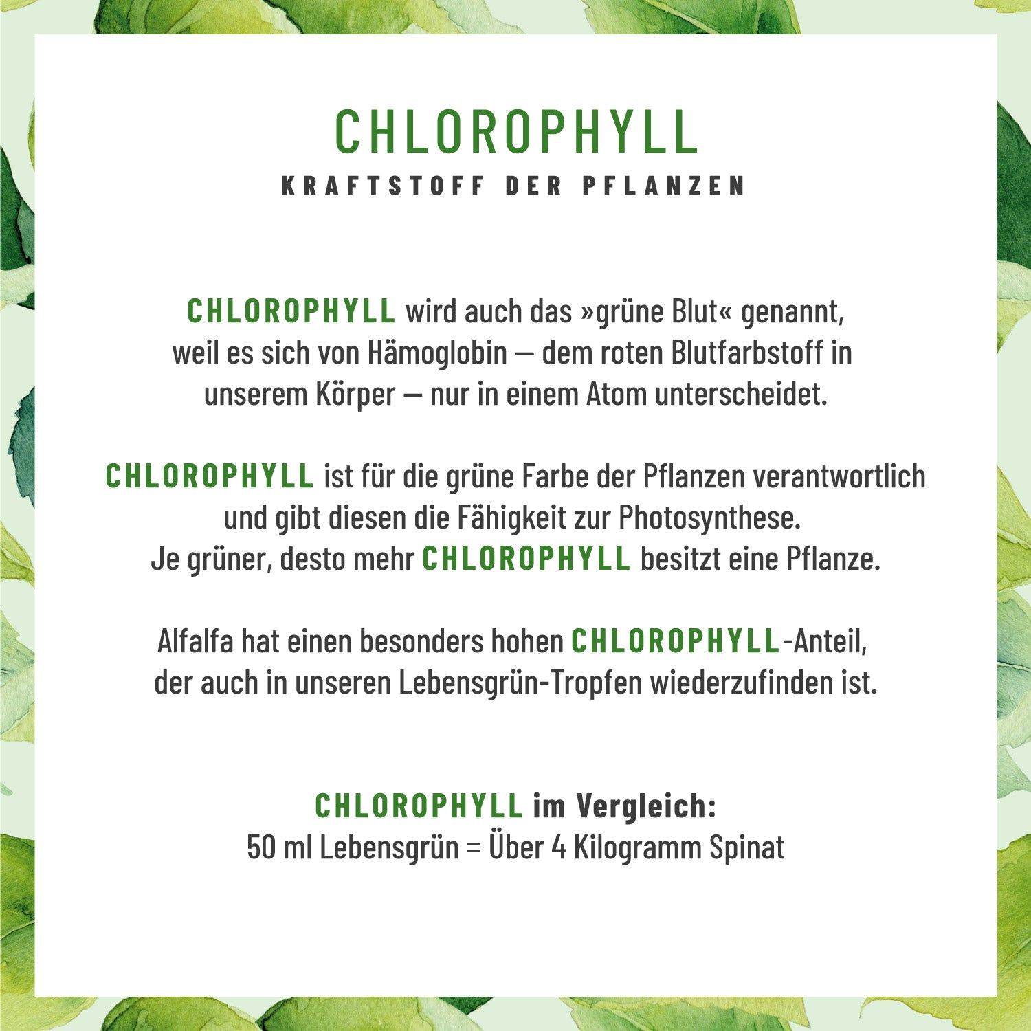 Chlorophyll Tropfen hochdosiert - Lebensgrün - NATURTREU®