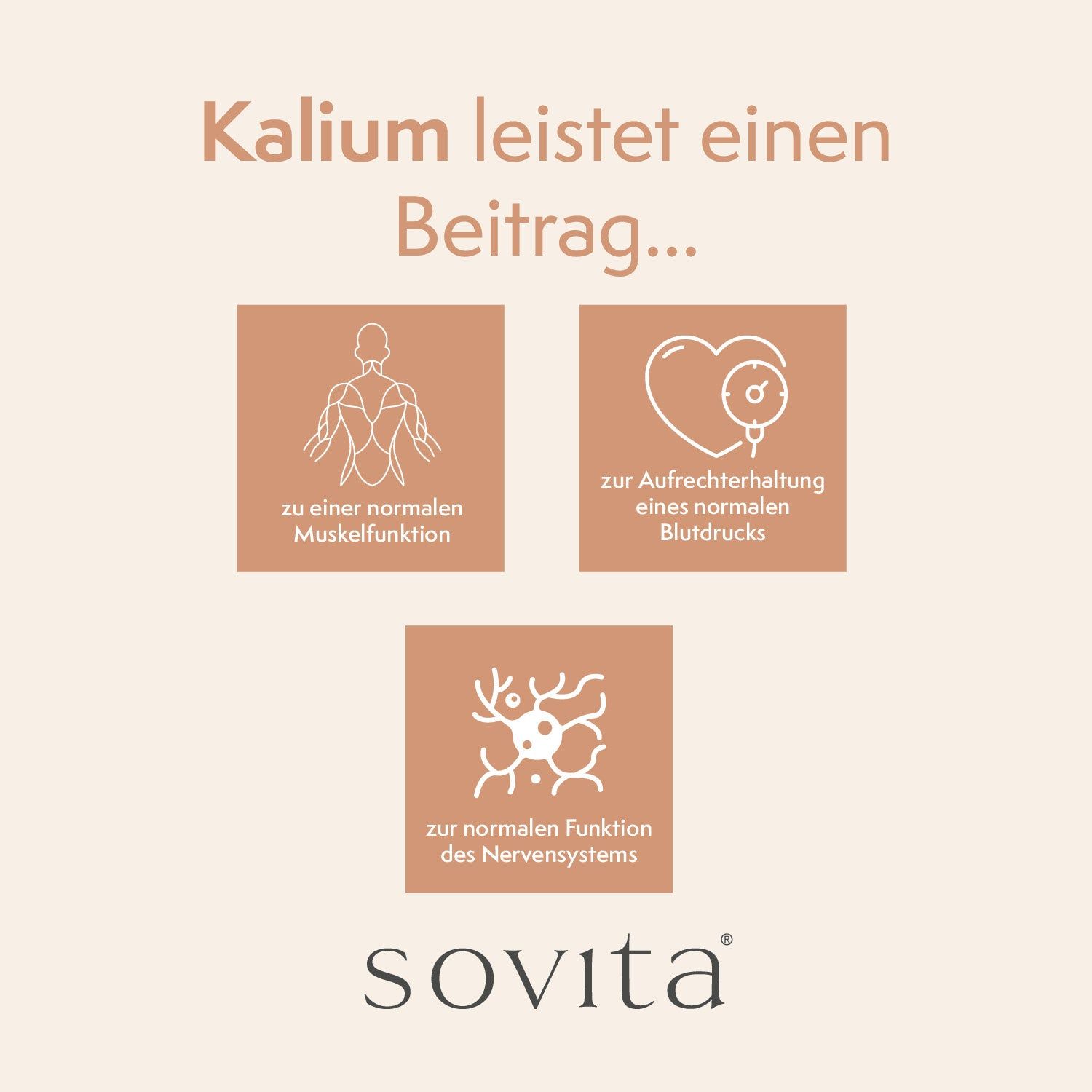 Grafik mit Icons: Muskeln, Herz, Nervenzellen. Text: Beitrag zu normaler Muskelfunktion, Blutdruck, Nervensystem. Marke: sovita.