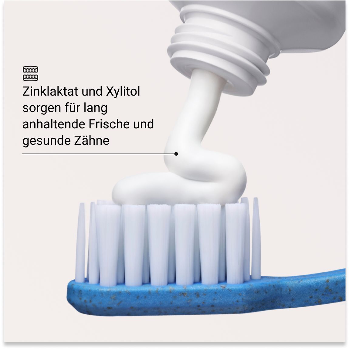 Zahnpasta auf Zahnbürste. Text: Zinklaktat und Xylitol sorgen für lang anhaltende Frische und gesunde Zähne.