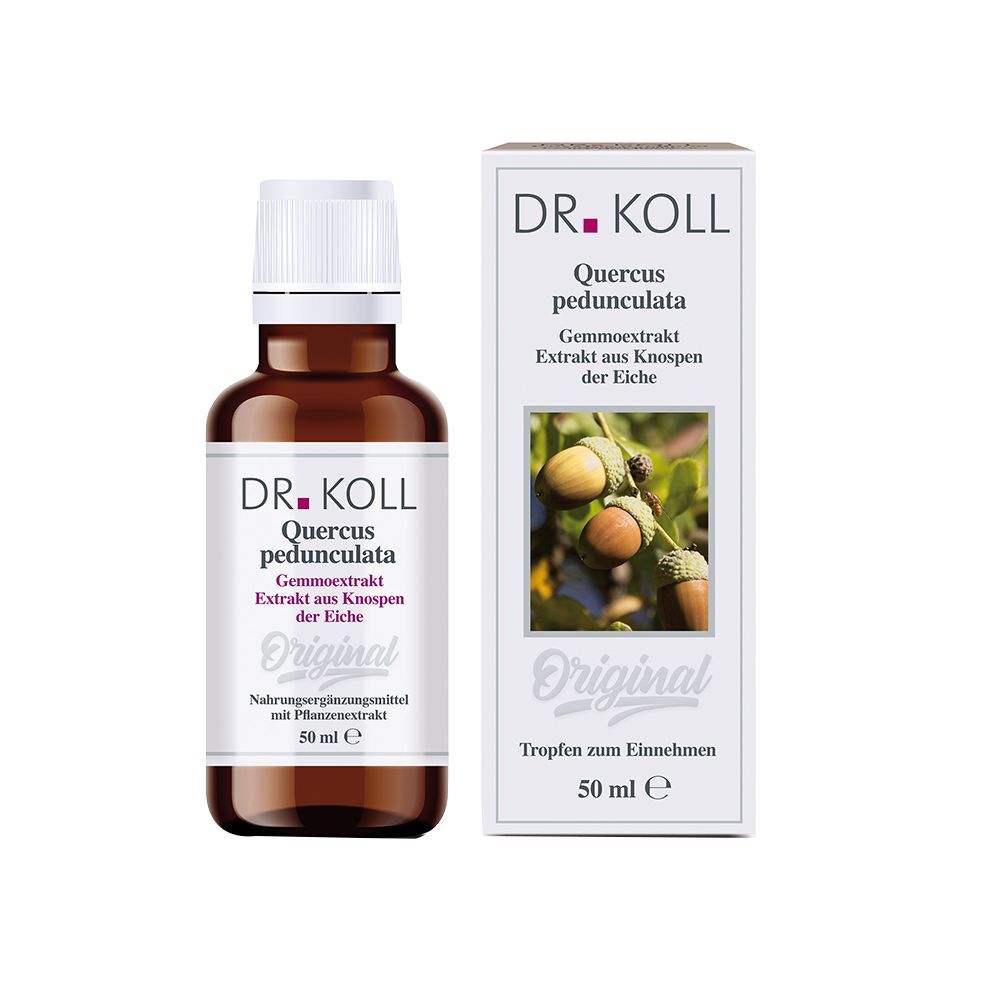 DR. KOLL Quercus Pedunculata Extrait de gemme