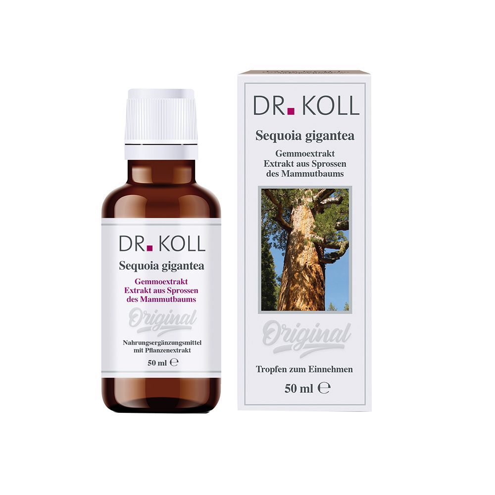 DR. KOLL Sequoia Gigantea Extrait de gemme