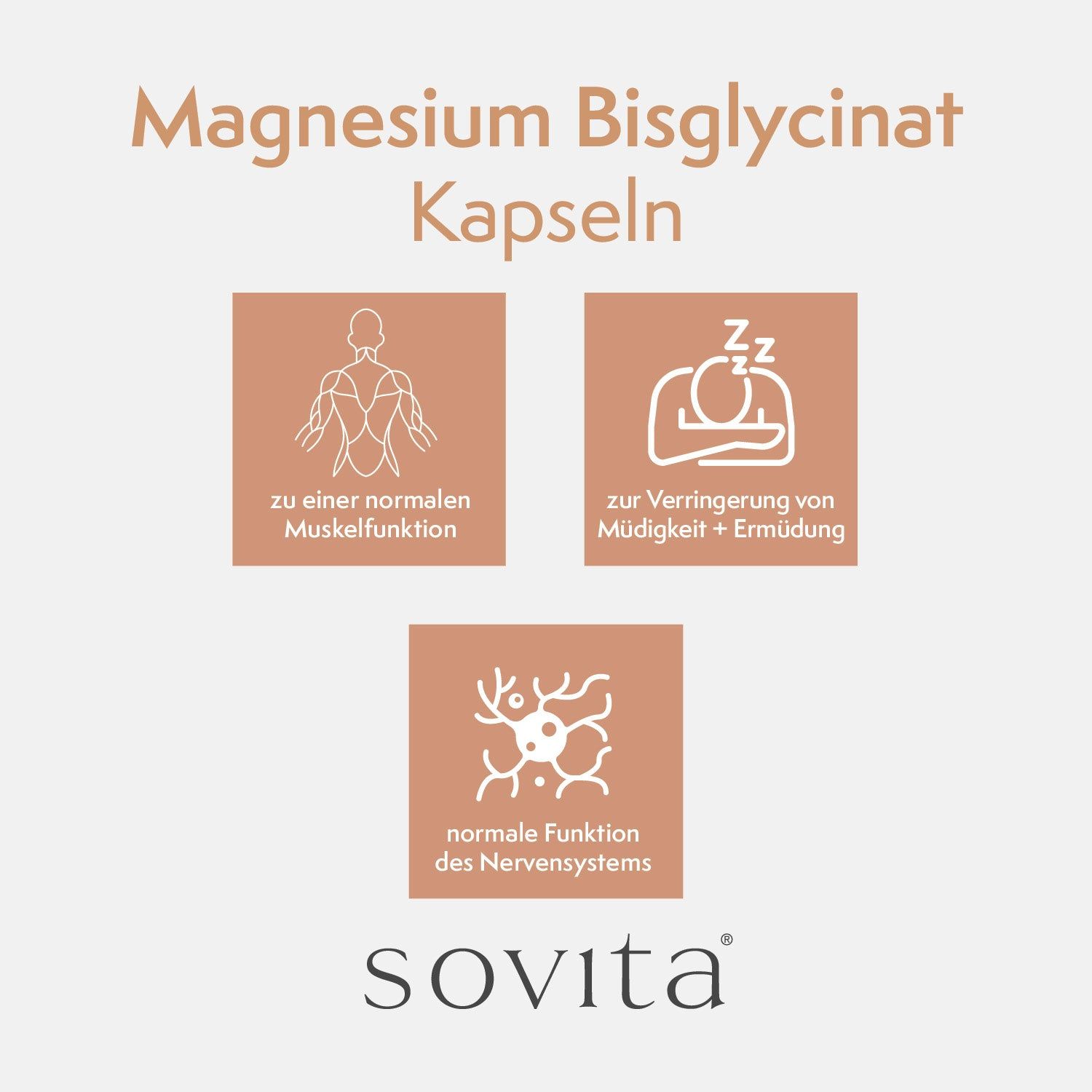 Text mit Icons: Muskeln, Schlaf, Nervensystem. Text: Magnesium Bisglycinat Kapseln, zu normaler Muskelfunktion, zur Verringerung von Müdigkeit, normale Funktion des Nervensystems. Logo: Sovita.