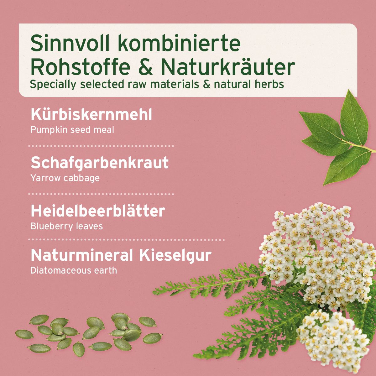 AniForte® Blasen-Formel Pulver