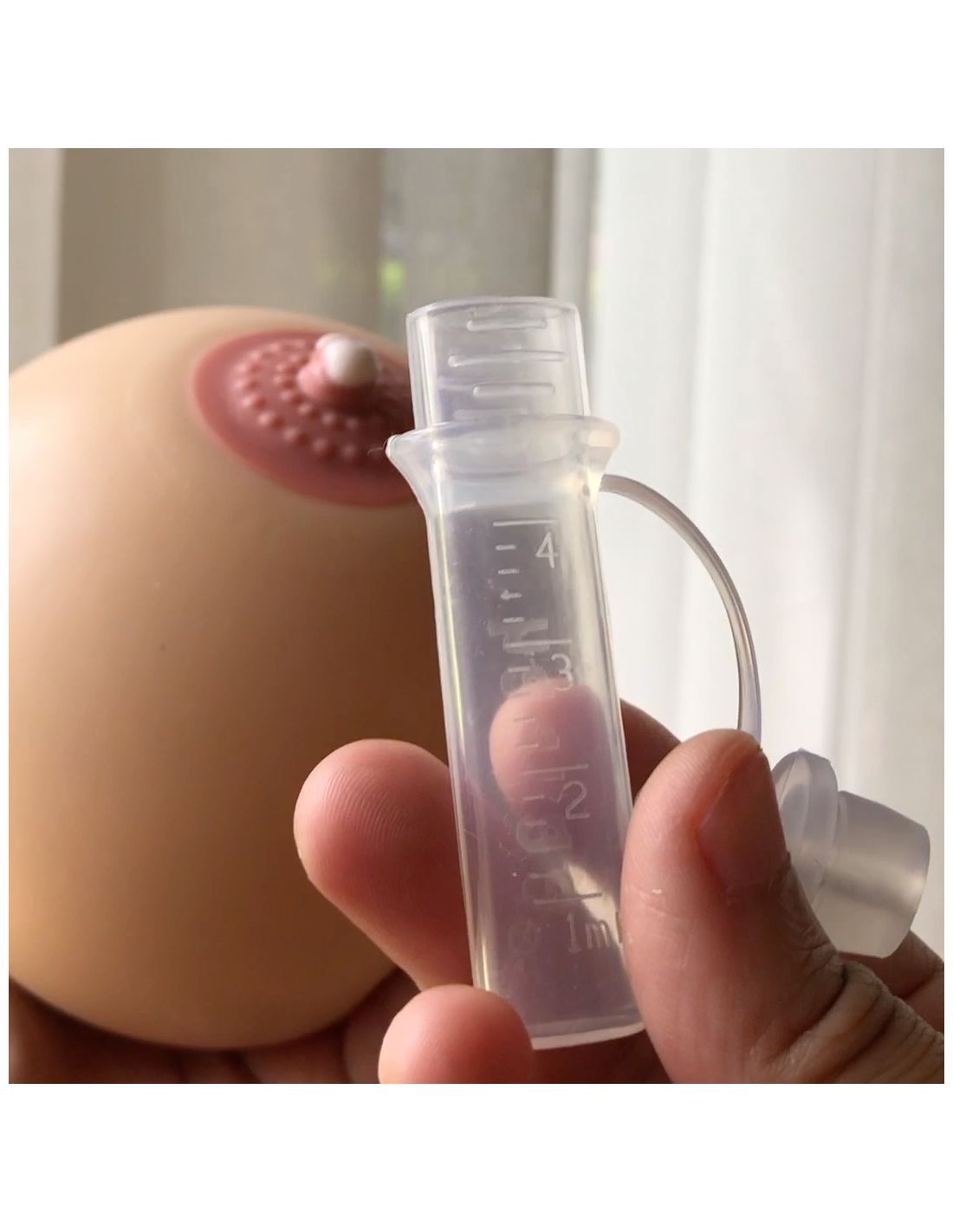 Main tenant un collecteur de colostrum transparent sur un mannequin de sein. Le collecteur est positionné sur le mamelon.